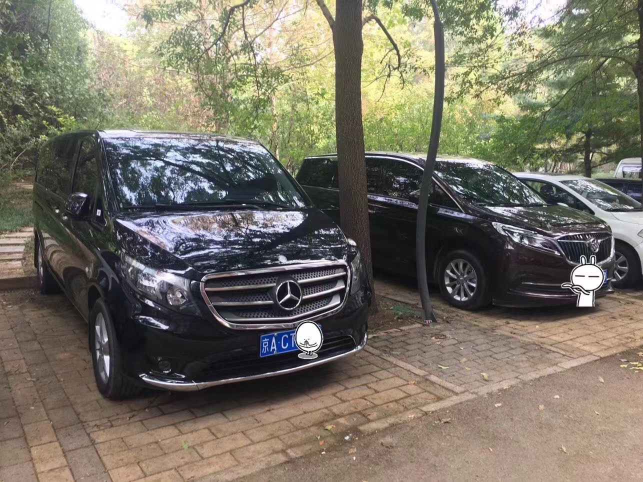 北京商務車出租公司